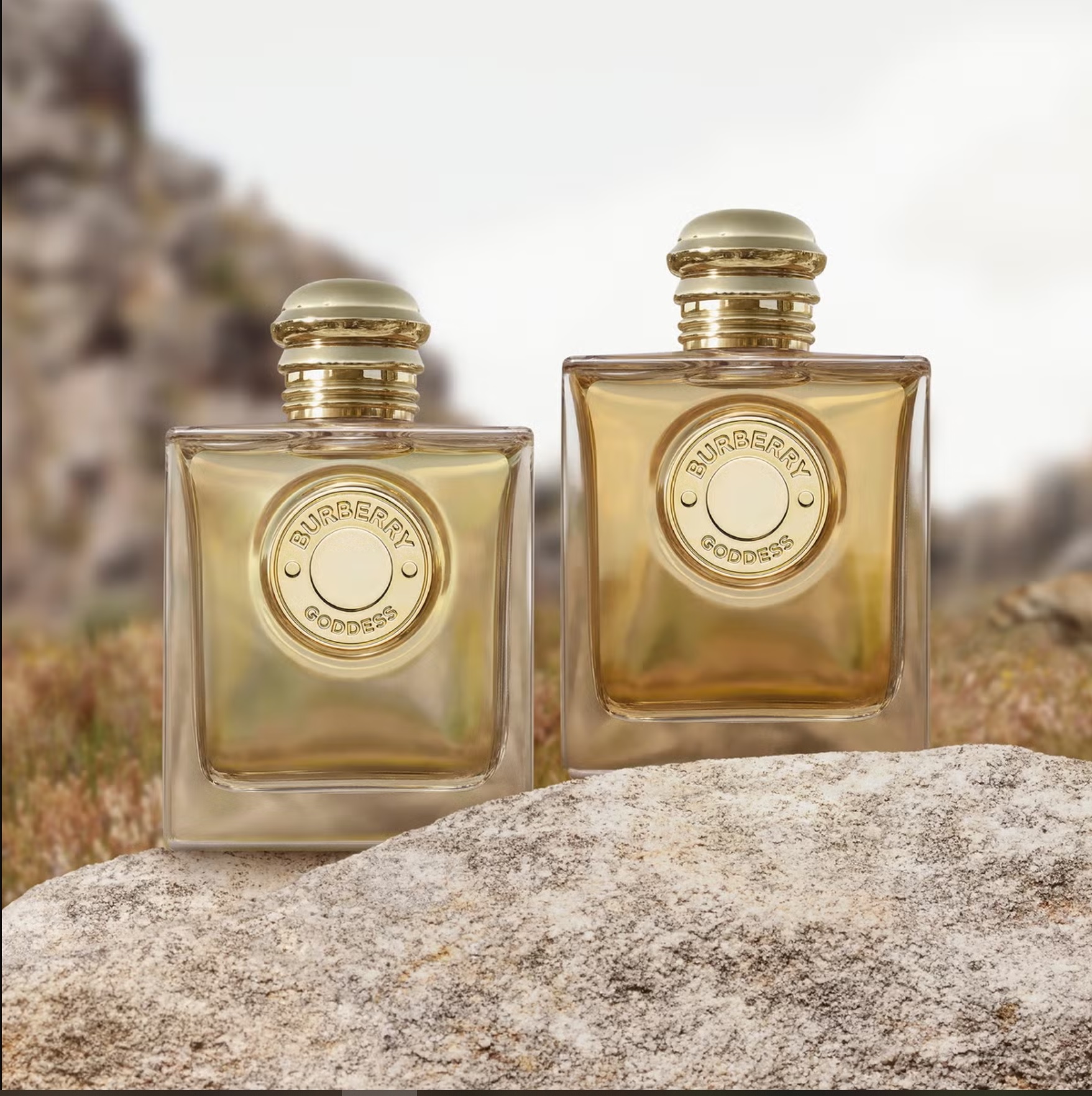 درباره ادکلن باربری گادس